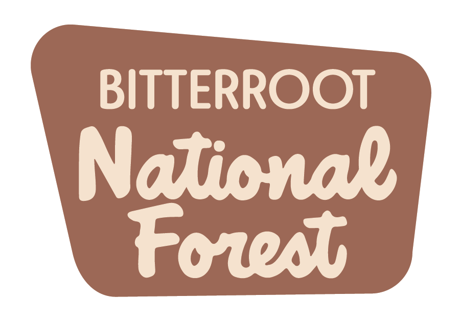 Decal