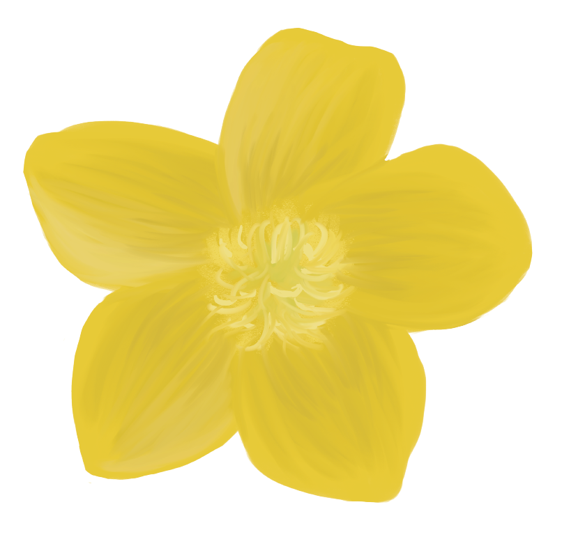 Decal