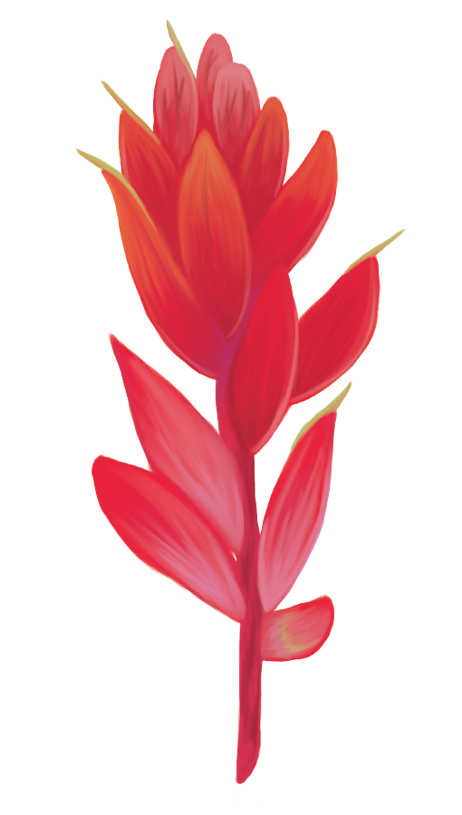 Decal