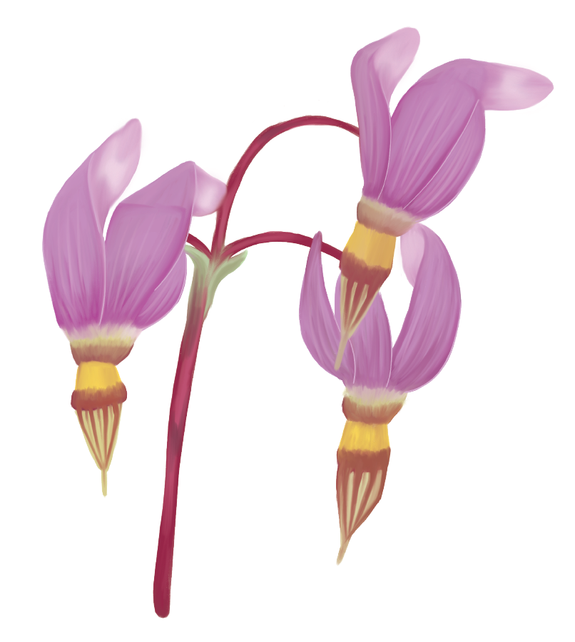 Decal