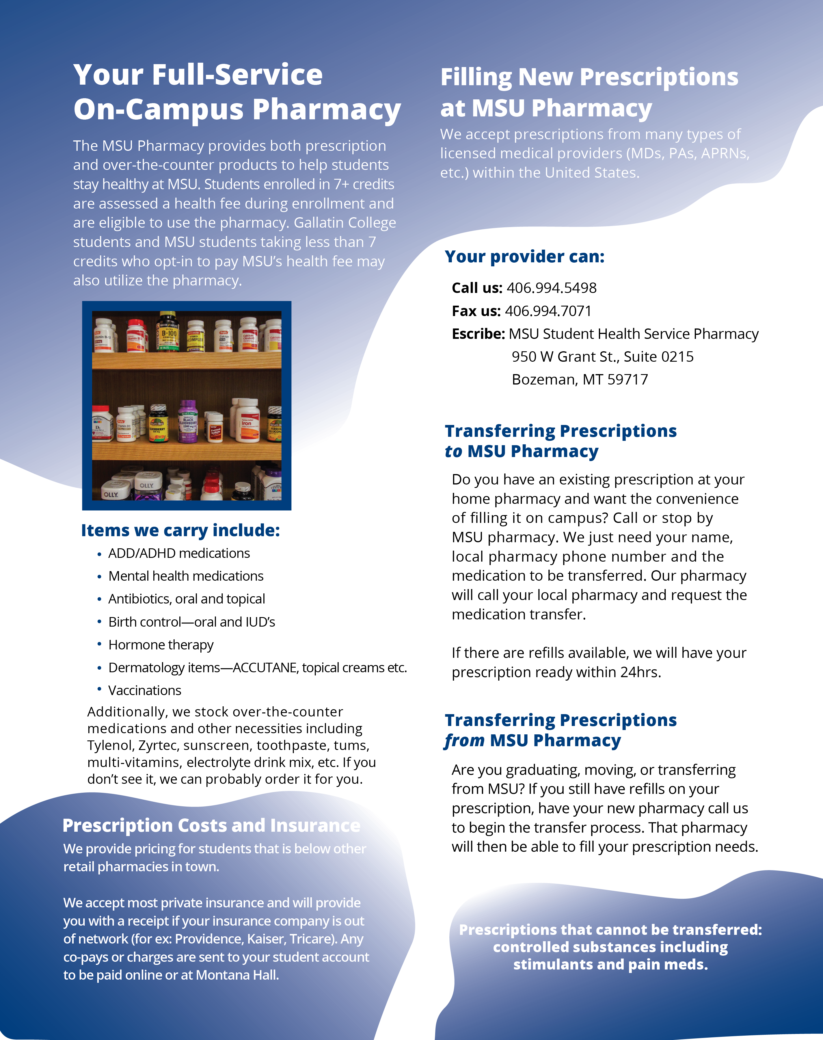 Blue Pharmacy Brochure 2